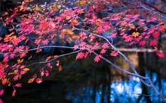 高细节污文看的你很湿